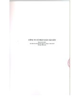Báo cáo tài chính năm 2010 (đã kiểm toán) - Công ty Cổ phần Giầy Sài Gòn
