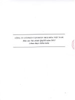 Báo cáo tài chính công ty mẹ quý 3 năm 2012 - Công ty Cổ phần Tập đoàn Thái Hòa Việt Nam