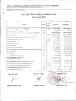 Báo cáo tài chính hợp nhất quý 1 năm 2012 - Công ty cổ phần Sản xuất Kinh doanh Xuất nhập khẩu Dịch vụ và Đầu tư Tân Bình