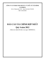 Báo cáo tài chính hợp nhất quý 4 năm 2012 - Công ty cổ phần Sản xuất Kinh doanh Xuất nhập khẩu Dịch vụ và Đầu tư Tân Bình