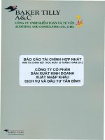 Báo cáo tài chính hợp nhất năm 2012 (đã kiểm toán) - Công ty cổ phần Sản xuất Kinh doanh Xuất nhập khẩu Dịch vụ và Đầu tư Tân Bình