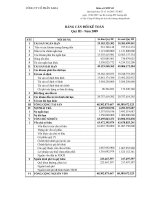 Báo cáo tài chính quý 3 năm 2009 - Công ty Cổ phần Tập đoàn Sara