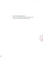 Báo cáo tài chính hợp nhất quý 2 năm 2015 - Công ty Cổ phần Tập đoàn Đầu tư Thăng Long