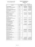 Báo cáo tài chính quý 3 năm 2011 - Công ty cổ phần Phát triển Khu Công nghiệp Tín Nghĩa