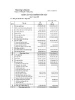 Báo cáo tài chính quý 4 năm 2009 - Công ty cổ phần Sông Đà - Thăng Long