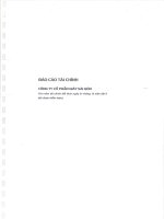 Báo cáo tài chính năm 2013 (đã kiểm toán) - Công ty Cổ phần Giầy Sài Gòn