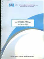 Báo cáo tài chính quý 2 năm 2013 (đã soát xét) - Công ty Cổ phần Đầu tư Điện Tây Nguyên