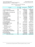 Báo cáo tài chính quý 3 năm 2010 - Công ty Cổ phần Tập đoàn Sara