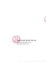 Báo cáo tài chính hợp nhất quý 1 năm 2011 - Công ty Cổ phần Tập đoàn Thiên Long
