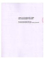 Báo cáo tài chính năm 2010 (đã kiểm toán) - Công ty cổ phần Phát triển Khu Công nghiệp Tín Nghĩa