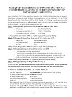 Nghị quyết đại hội cổ đông ngày 24-04-2009 - Công ty Cổ phần Công nghệ Viễn thông Sài Gòn