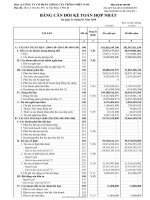 Báo cáo tài chính hợp nhất quý 1 năm 2010 - Công ty Cổ phần Giống cây trồng Miền Nam