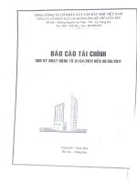 Báo cáo tài chính quý 2 năm 2011 - Công ty Cổ phần Xây lắp Đường ống Bể chứa Dầu khí