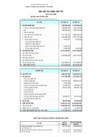 Báo cáo tài chính quý 3 năm 2009 - Công ty Cổ phần In Sách giáo khoa tại Tp.Hồ Chí Minh