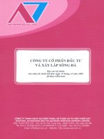 Báo cáo tài chính năm 2009 (đã kiểm toán) - Công ty Cổ phần Đầu tư và Xây lắp Sông Đà