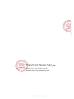 Báo cáo tài chính hợp nhất quý 3 năm 2011 - Công ty Cổ phần Tập đoàn Thiên Long