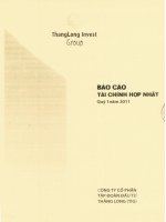 Báo cáo tài chính hợp nhất quý 1 năm 2011 - Công ty Cổ phần Tập đoàn Đầu tư Thăng Long