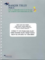 Báo cáo tài chính hợp nhất quý 2 năm 2015 (đã soát xét) - Công ty cổ phần Sản xuất Kinh doanh Xuất nhập khẩu Dịch vụ và Đầu tư Tân Bình