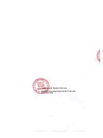 Báo cáo tài chính công ty mẹ quý 4 năm 2012 - Công ty Cổ phần Tập đoàn Thiên Long