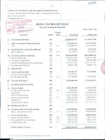 Báo cáo tài chính quý 2 năm 2013 - Công ty cổ phần Chứng khoán Hoàng Gia