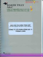 Báo cáo tài chính năm 2012 (đã kiểm toán) - Công ty Cổ phần Sông Đà 11 Thăng Long