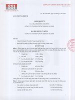 Nghị quyết đại hội cổ đông ngày 24-04-2009 - Công ty cổ phần Chứng khoán Sài Gòn