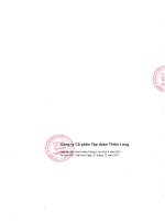 Báo cáo tài chính công ty mẹ quý 4 năm 2011 - Công ty Cổ phần Tập đoàn Thiên Long