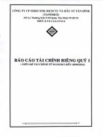 Báo cáo tài chính công ty mẹ quý 1 năm 2016 - Công ty cổ phần Sản xuất Kinh doanh Xuất nhập khẩu Dịch vụ và Đầu tư Tân Bình