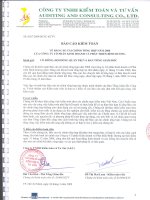 Báo cáo tài chính năm 2008 (đã kiểm toán) - Công ty Cổ phần Kinh doanh và Phát triển Bình Dương