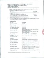Báo cáo tài chính hợp nhất quý 4 năm 2011 - Công ty Cổ phần Đầu tư và Xây dựng Tiền Giang