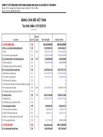 Báo cáo tài chính hợp nhất quý 1 năm 2011 - Công ty cổ phần Sản xuất Kinh doanh Xuất nhập khẩu Dịch vụ và Đầu tư Tân Bình