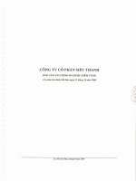 Báo cáo tài chính công ty mẹ năm 2008 (đã kiểm toán) - Công ty Cổ phần Siêu Thanh