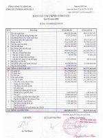 Báo cáo tài chính quý 3 năm 2008 - Công ty Cổ phần Sông Đà 5