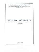 Báo cáo thường niên năm 2012 - Công ty cổ phần Chế tác Đá Việt Nam