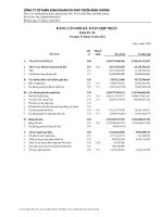 Báo cáo tài chính hợp nhất quý 4 năm 2012 - Công ty Cổ phần Kinh doanh và Phát triển Bình Dương