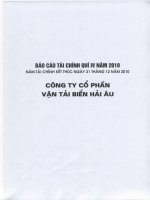 Báo cáo tài chính quý 4 năm 2010 - Công ty Cổ phần Vận tải biển Hải Âu