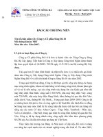 Báo cáo thường niên năm 2007 - Công ty Cổ phần Sông Đà 10