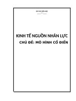 kinh tế nguồn nhân lực, các mô hình của quản trị nhân lực