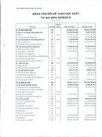 Báo cáo tài chính hợp nhất quý 3 năm 2010 - Công ty cổ phần Sản xuất Kinh doanh Xuất nhập khẩu Dịch vụ và Đầu tư Tân Bình