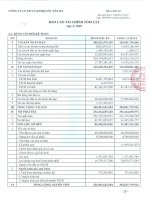 Báo cáo tài chính quý 4 năm 2009 - Công  ty Cổ phần Xây dựng và Kinh doanh Địa ốc Tân Kỷ