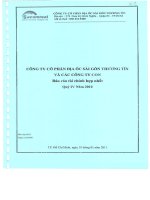 Báo cáo tài chính hợp nhất quý 4 năm 2010 - Công ty Cổ phần Địa ốc Sài Gòn Thương Tín