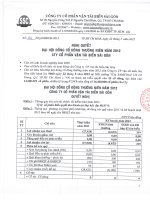 Nghị quyết Đại hội cổ đông thường niên - Công ty Cổ phần Vận tải biển Sài Gòn