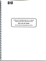 Báo cáo tài chính quý 2 năm 2010 (đã soát xét) - Công ty Cổ phần Đầu tư và Phát triển giáo dục Phương Nam