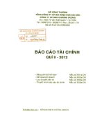 Báo cáo tài chính quý 2 năm 2012 - Công ty Cổ phần Nước giải khát Chương Dương