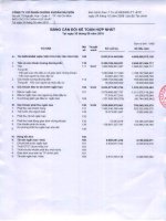 Báo cáo tài chính hợp nhất quý 3 năm 2010 - Công ty cổ phần Chứng khoán Sài Gòn