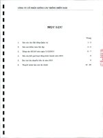 Báo cáo tài chính công ty mẹ năm 2010 (đã kiểm toán) - Công ty Cổ phần Giống cây trồng Miền Nam