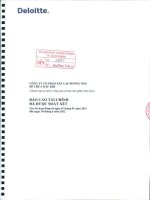 Báo cáo tài chính quý 2 năm 2012 (đã soát xét) - Công ty Cổ phần Xây lắp Đường ống Bể chứa Dầu khí