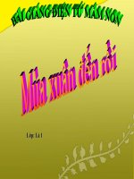 Bài giảng điện tử đề tài Mùa xuân đến rồi