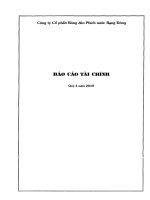 Báo cáo tài chính quý 4 năm 2010 - Công ty Cổ phần Bóng đèn Phích nước Rạng Đông