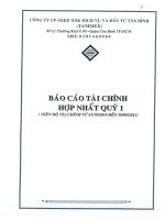 Báo cáo tài chính hợp nhất quý 1 năm 2015 - Công ty cổ phần Sản xuất Kinh doanh Xuất nhập khẩu Dịch vụ và Đầu tư Tân Bình